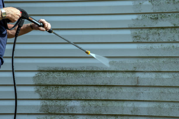 Best Rust Removal  in Rochester, IL