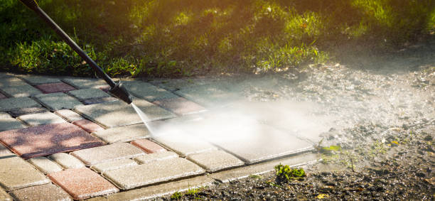 Best Roof Washing  in Rochester, IL